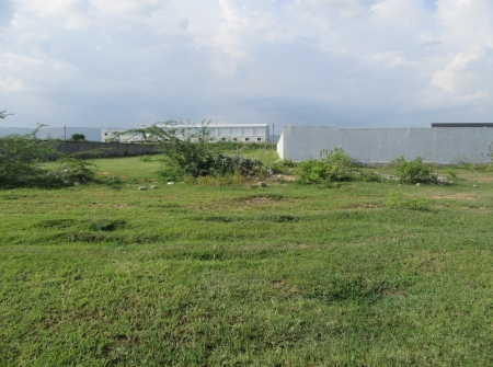 North Facing 543 Anks Semi Commercial Land for Sale Near Toyota Showroom - Chennai Highway, Tirupati